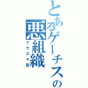 とあるゲーチスの悪組織（プラズマ団）