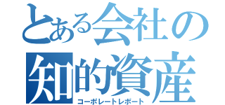 とある会社の知的資産報告書（コーポレートレポート）