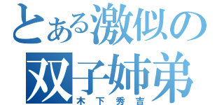 とある激似の双子姉弟（木下秀吉）