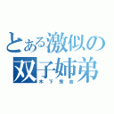 とある激似の双子姉弟（木下秀吉）