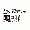 とある勘違いの悪臭豚（鼻が上向き）