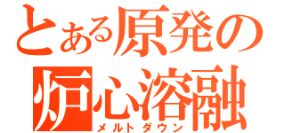 とある原発の炉心溶融（メルトダウン）