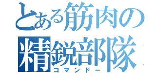 とある筋肉の精鋭部隊（コマンドー）