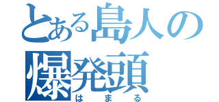 とある島人の爆発頭（はまる）