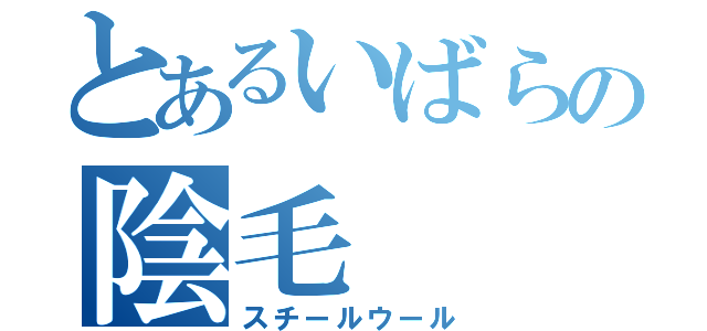 とあるいばらの陰毛（スチールウール）