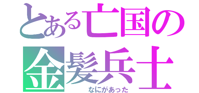 とある亡国の金髪兵士（　　　なにがあった）