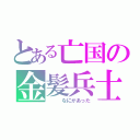 とある亡国の金髪兵士（　　　なにがあった）