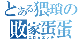 とある猥瑣の敗家蛋蛋（エロ＆エッチ）