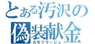 とある汚沢の偽装献金（カモフラージュ）