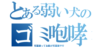 とある弱い犬のゴミ咆哮（可哀想ってお前が可哀想やぞ）