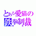 とある愛猫の鉄拳制裁（藍猫）