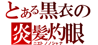 とある黒衣の炎髪灼眼（ニエトノノシャナ）