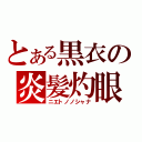 とある黒衣の炎髪灼眼（ニエトノノシャナ）