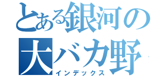 とある銀河の大バカ野郎（インデックス）