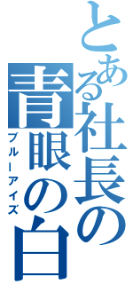 とある社長の青眼の白龍（ブルーアイズ）