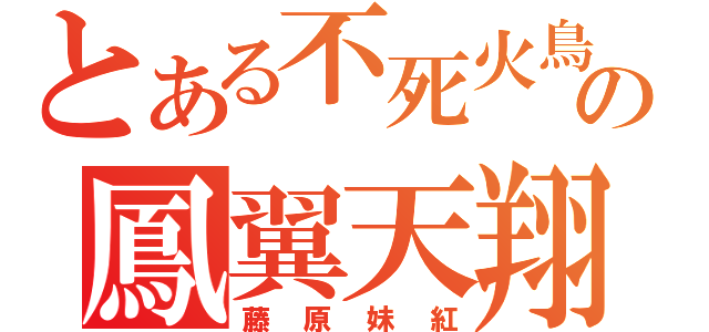 とある不死火鳥の鳳翼天翔（藤原妹紅）