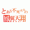 とある不死火鳥の鳳翼天翔（藤原妹紅）