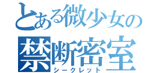 とある微少女の禁断密室（シークレット）