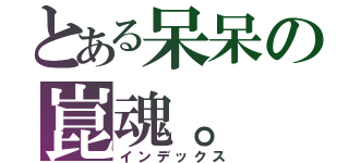 とある呆呆の崑魂。（インデックス）