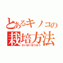 とあるキノコの栽培方法（さいばいほうほう）