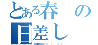 とある春の日差し（ｌｌｌｌｌｌｌｌｌｌｌｌｌｌｌｌｌｌｌｌｌｌｌｌｌｌｌｌｌ）