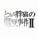 とある胖猫の凌辱事件Ⅱ（巨乳潮吹！）