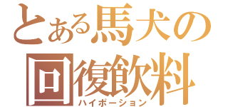 とある馬犬の回復飲料（ハイポーション）