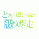 とある迷い猫の波紋疾走（オーバーラン）