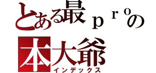 とある最ｐｒｏの本大爺（インデックス）