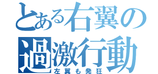 とある右翼の過激行動（左翼も発狂）