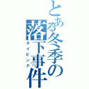 とある冬季の落下事件（ダイビング）