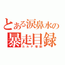 とある涙鼻水の暴走目録（カルテ増刷）