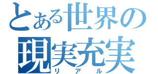 とある世界の現実充実（リアル）