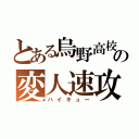 とある烏野高校の変人速攻（ハイキュー）