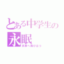 とある中学生の永眠（天界へ飛び立つ）