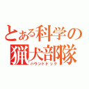 とある科学の猟犬部隊（ハウンドドック）