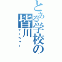 とある学校の皆川（てーちゃー）