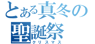 とある真冬の聖誕祭（クリスマス）