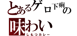 とあるゲロ下痢の味わい（しもつカレー）