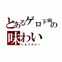 とあるゲロ下痢の味わい（しもつカレー）