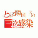 とある隣国　Ｋの三次感染（ＭＥＲＳの危険性）