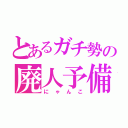 とあるガチ勢の廃人予備軍（にゃんこ）