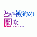 とある被狗の風吹（草動淚滿燼）