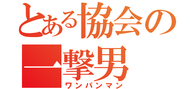 とある協会の一撃男（ワンパンマン）