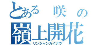 とある 咲 の嶺上開花（リンシャンカイホウ）