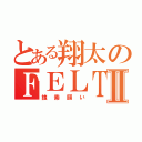 とある翔太のＦＥＬＴⅡ（捜索願い）