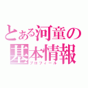 とある河童の基本情報（プロフィール）