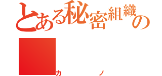 とある秘密組織の（カノ）