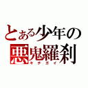 とある少年の悪鬼羅刹（キチガイ）