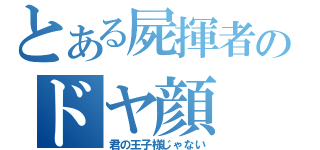 とある屍揮者のドヤ顔（君の王子様じゃない）